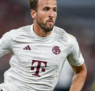 队员们的拼 队员们的拼