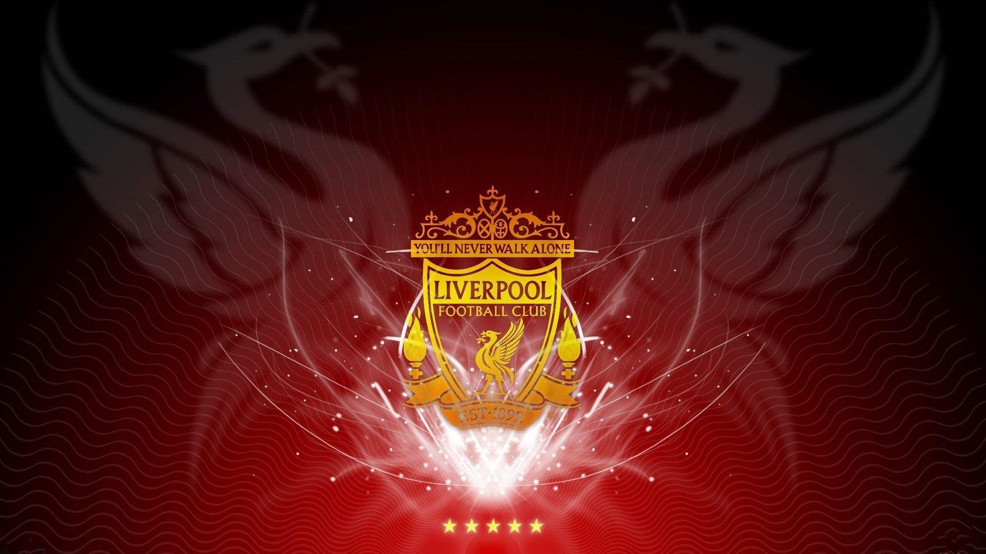 与出球组织 与出球组织