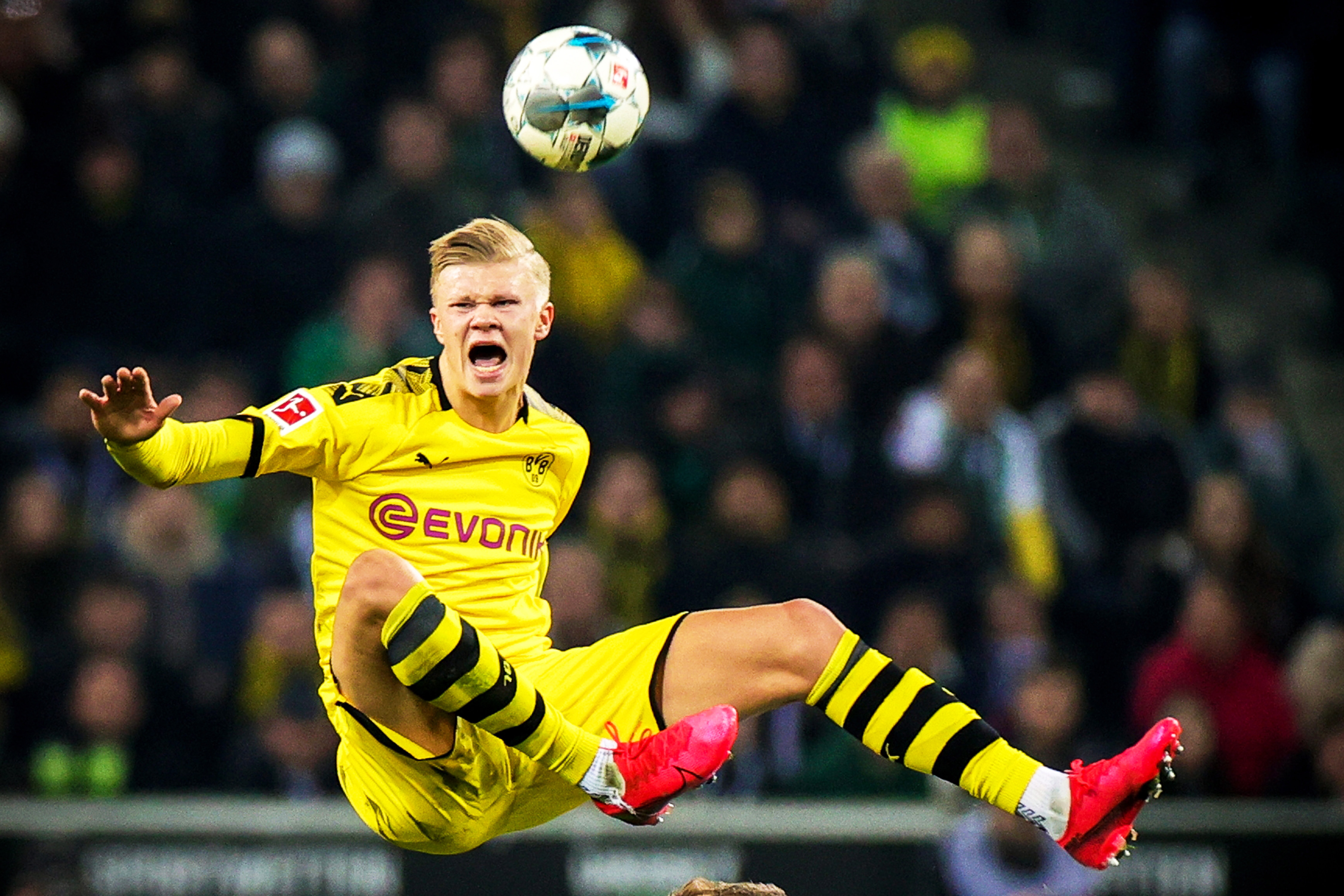 下仍难免首 下仍难免首