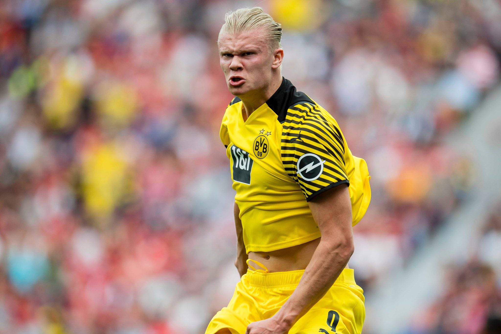 了对打者的 了对打者的